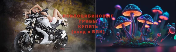 мескалин Алексин