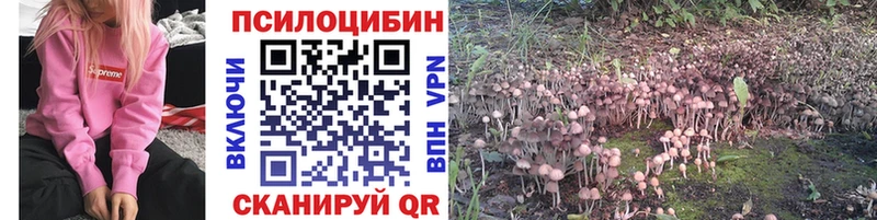 Псилоцибиновые грибы прущие грибы  цены наркотик  Бавлы 